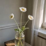 Mohn Set