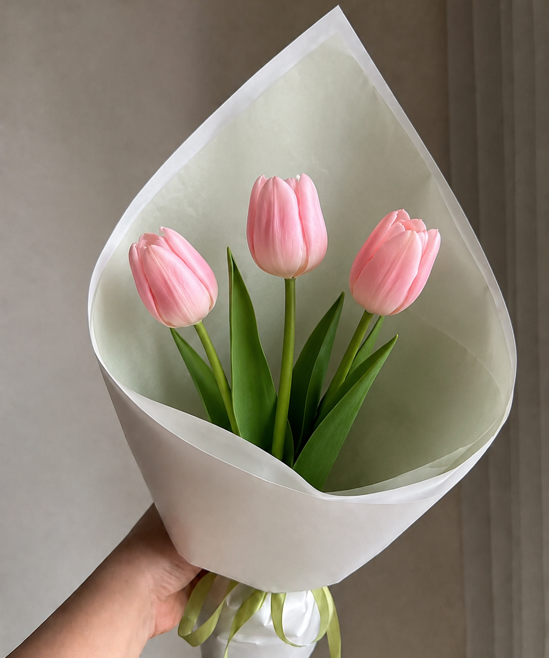 Tulpen Set