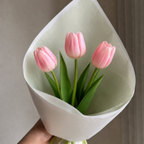 Tulpen Set