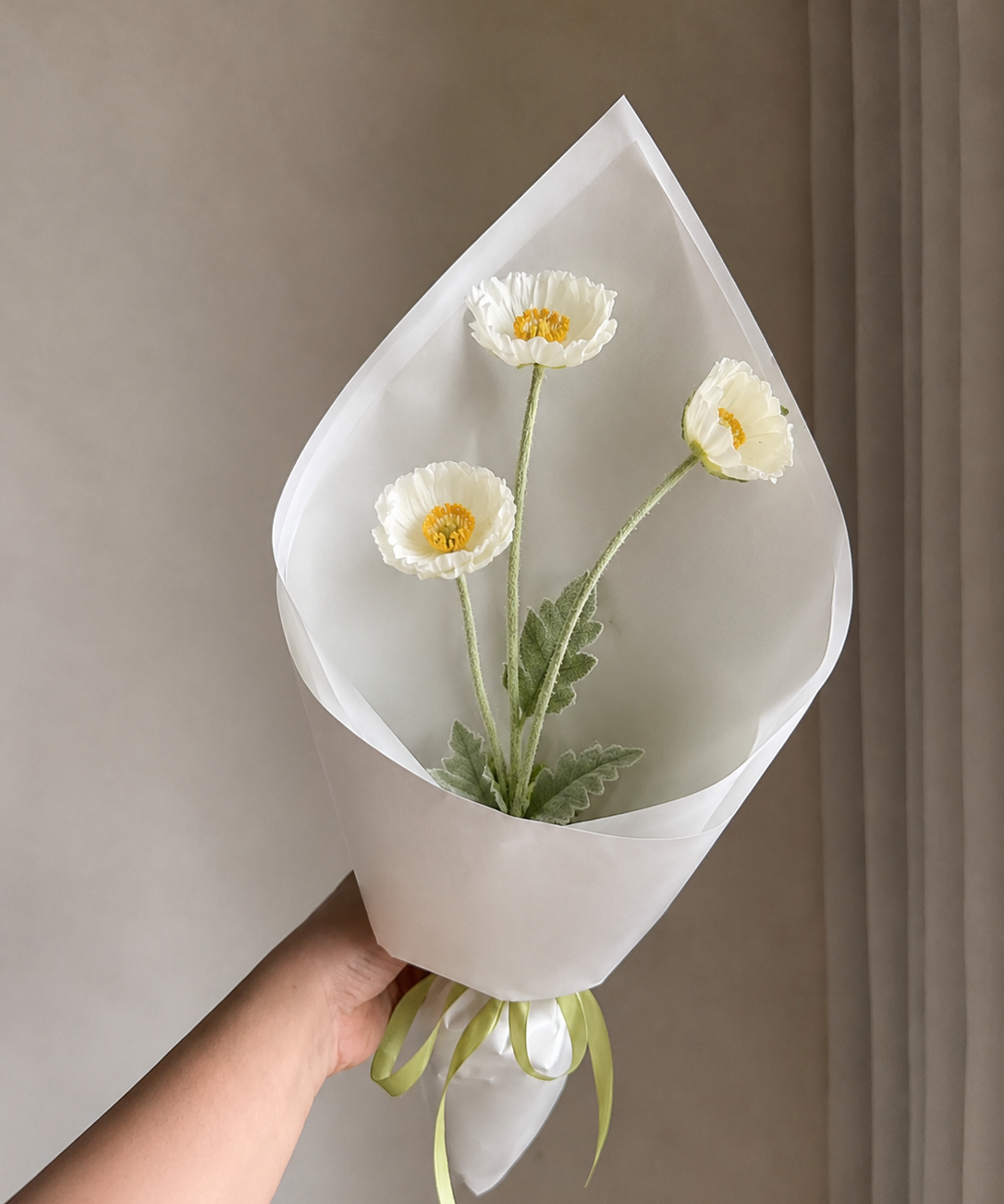 Mohn Set