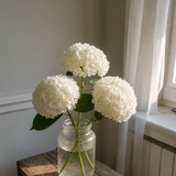Hydrangea Set