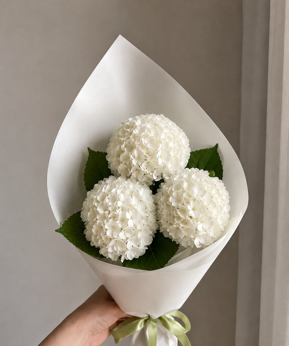 Hydrangea Set