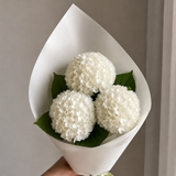 Hydrangea Set
